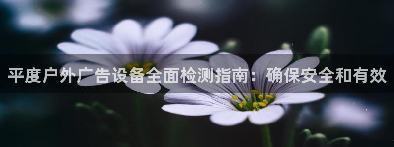 杏宇平台官网注册