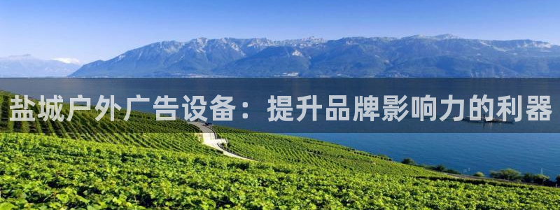 杏宇平台注册地址在哪里