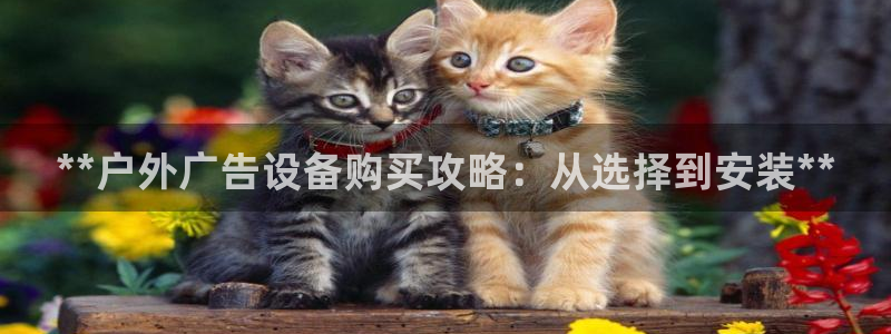 杏宇平台登陆