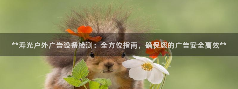 杏宇平台代理多少钱