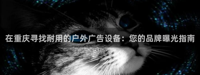 杏宇平台是什么