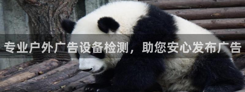 杏宇平台招商怎么样