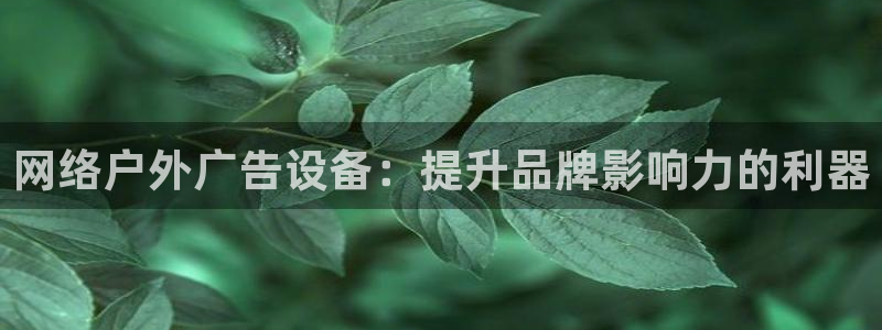 杏宇平台代理多少钱一个月