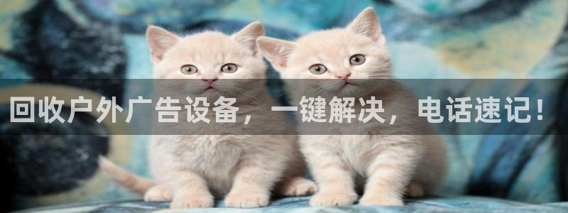 杏宇平台测速链接