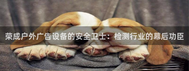 杏宇平台招商