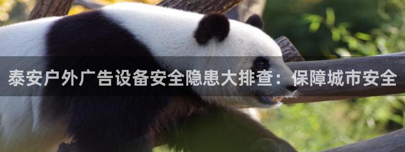 杏宇平台注册地址在哪里