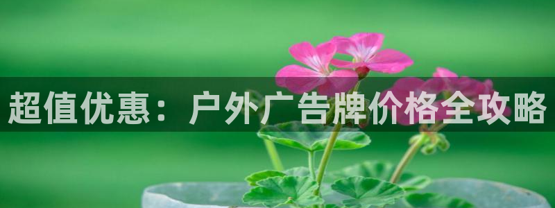 杏宇平台代理怎么样啊
