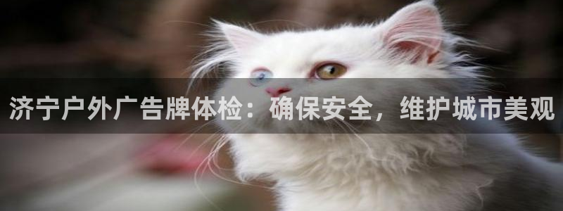 杏宇平台招商电话号码