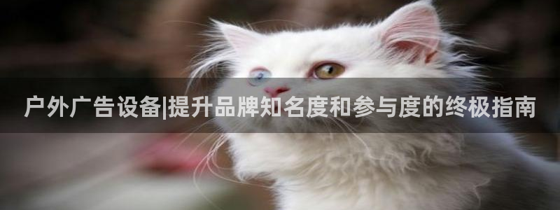 杏宇平台总代理是谁