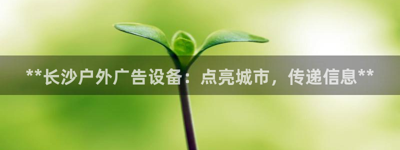 杏宇平台怎么样