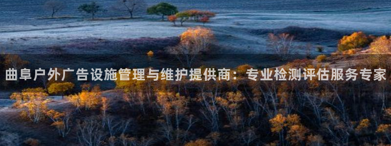 杏宇平台代理怎么样赚钱：曲阜户外广告设施