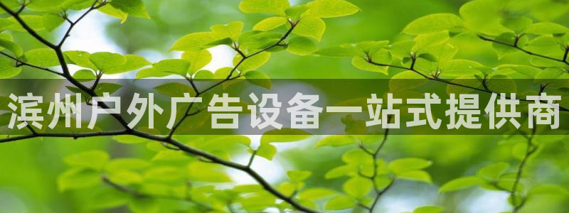 杏宇平台代理怎么赚钱快：滨州户外广告设备