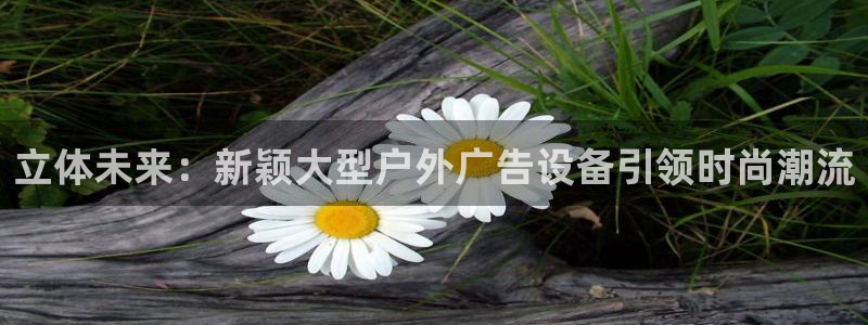 杏宇官方平台官网入口：立体未来：新颖大型