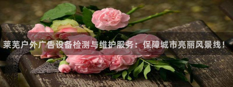 杏宇平台代理多少钱一个月：莱芜户外广告设备检测与维护服务：保障城市亮丽风景线！