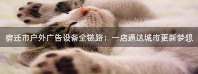 杏宇平台代理：宿迁市户外广告设备全链路：
