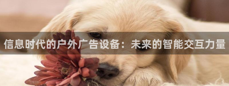 杏宇官方平台官网：信息时代的户外广告设备