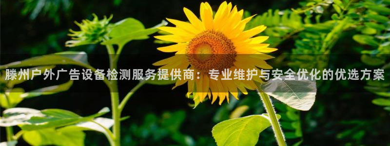 杏宇平台总代理电话：滕州户外广告设备检测