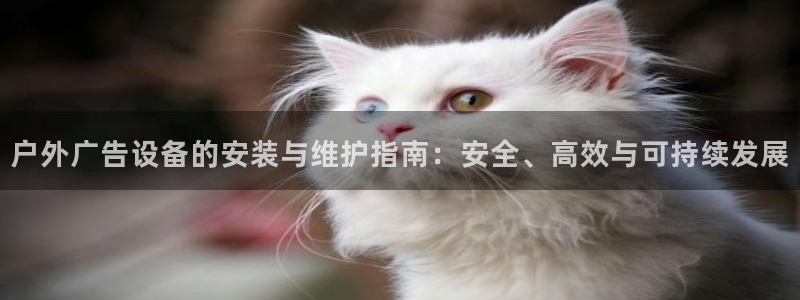 杏宇平台总代理电话：户外广告设备的安装与