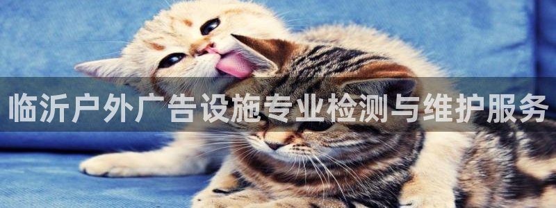 杏宇平台代理：临沂户外广告设施专业检测与维护服务
