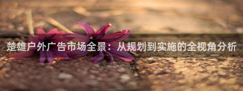 杏宇平台代理多少钱一个：楚雄户外广告市场