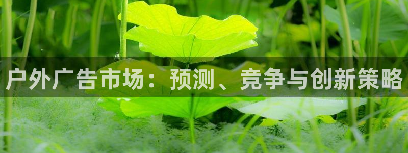 杏宇平台登录步骤是什么：户外广告市场：预
