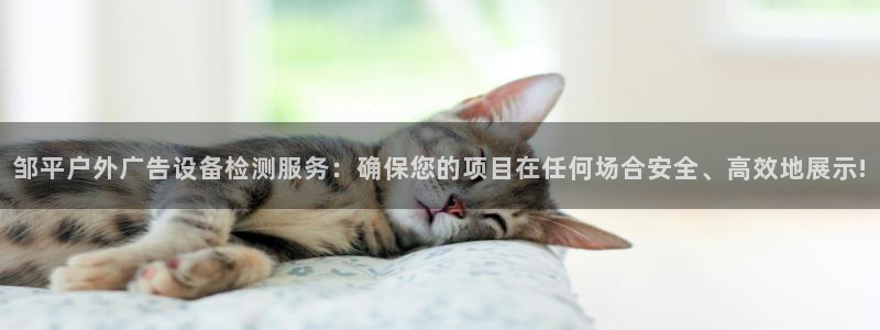杏宇平台代理多少钱一个月：邹平户外广告设