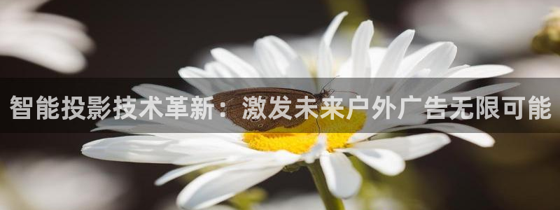 杏宇平台总代理电话：智能投影技术革新：激