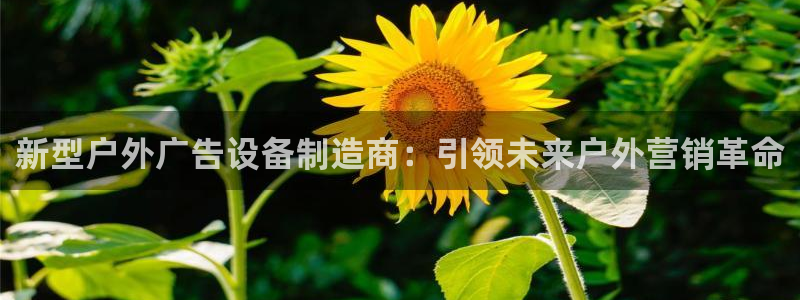 杏宇平台怎么样：新型户外广告设备制造商：