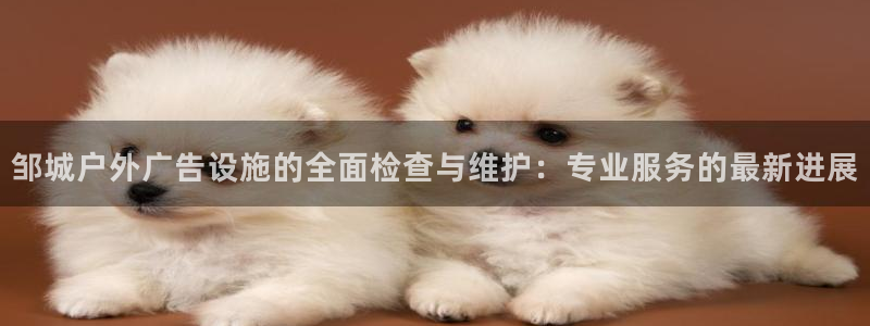 杏宇平台总代理：邹城户外广告设施的全面检查与维护：专业服务的最新进展