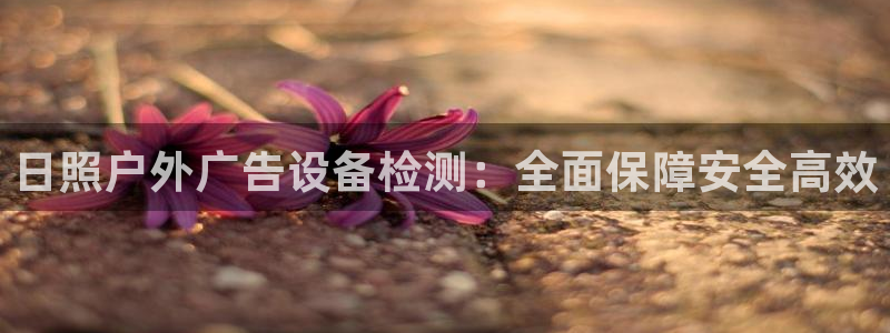 杏宇平台提现为什么这么久呢