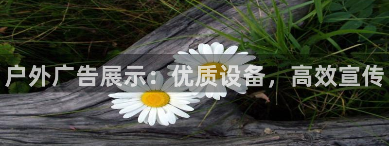 杏宇平台怎么样赚钱：户外广告展示：优质设备，高效宣传