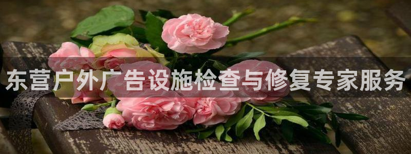 杏宇平台招商怎么样：东营户外广告设施检查与修复专家服务