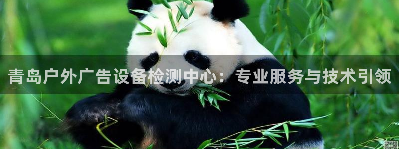 杏宇代理注册：青岛户外广告设备检测中心：专业服务与技术引领
