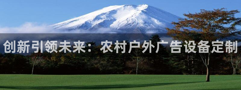 杏宇平台开户：创新引领未来：农村户外广告设备定制