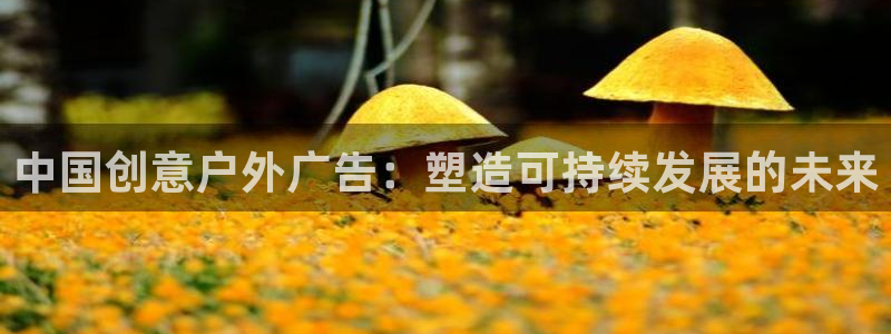 杏宇平台官网注册：中国创意户外广告：塑造可持续发展的未来