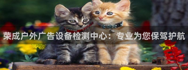 杏宇平台代理多少钱一个：荣成户外广告设备检测中心：专业为您保驾护航