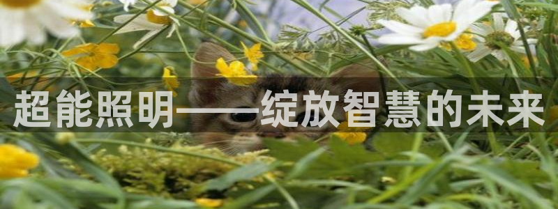 杏宇官方平台官网入口：超能照明——绽放智慧的未来